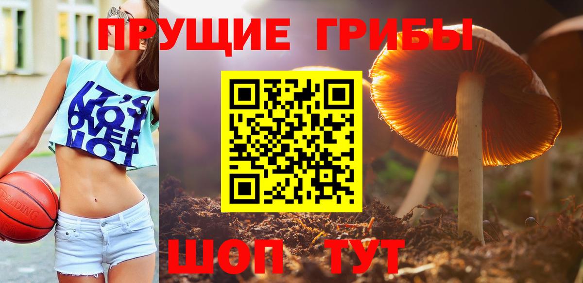 Псилоцибиновые грибы мухоморы Тайшет